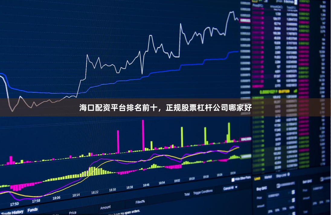 海口配资平台排名前十，正规股票杠杆公司哪家好